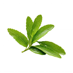 Stevia